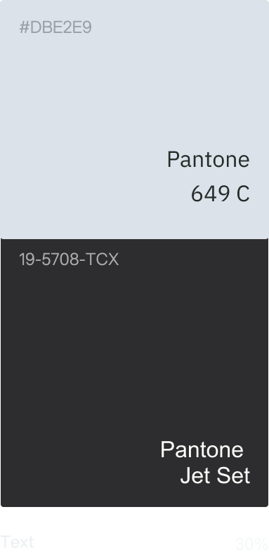 color pallet Pantone 649 C and Pantone Jet Set
